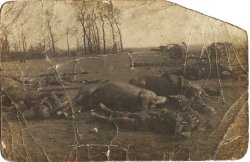 Dead British soldiers left on the battlefield after the Battle of Le Cateau (1914)